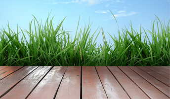 Переход с органорастворимых на водно-дисперсионные ЛКМ